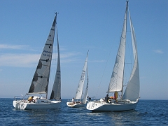 la solitaire 124